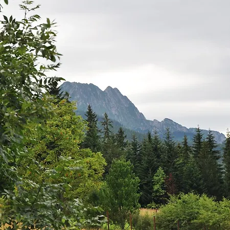 Msc Honeymoon 2 Zakopane